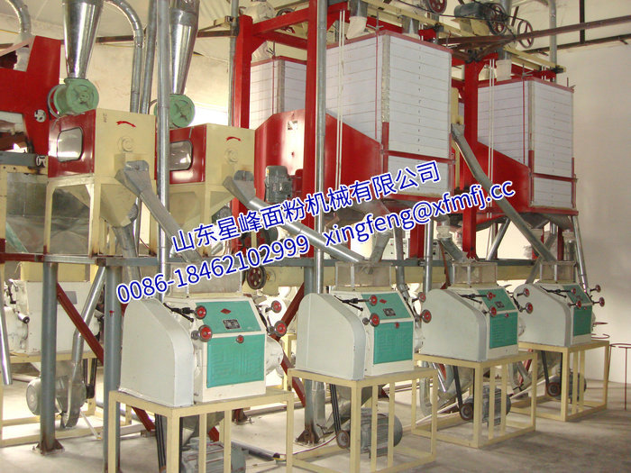 燕麦油麦加工设备