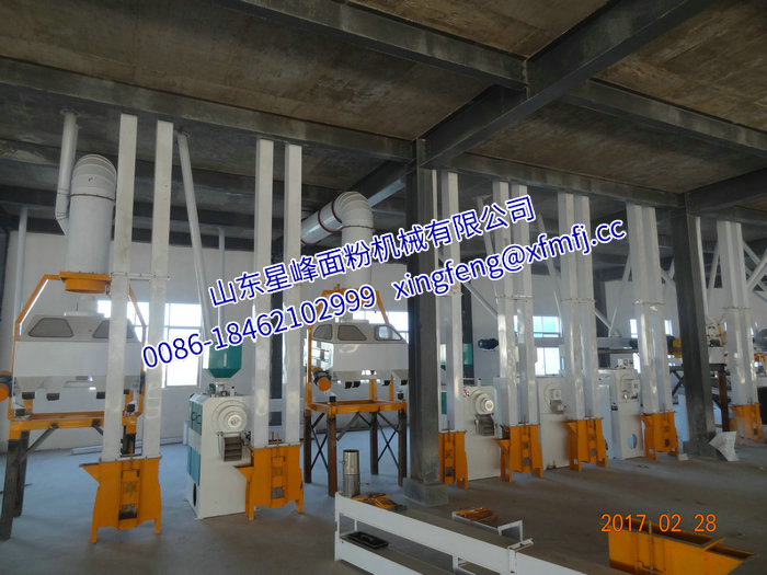 4.1 云南丽江 100T 24h玉米糁（粉）生产线.JPG