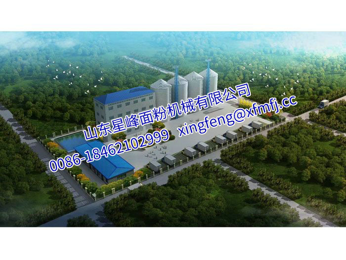 日产200吨小麦面粉生产线主机装配中 